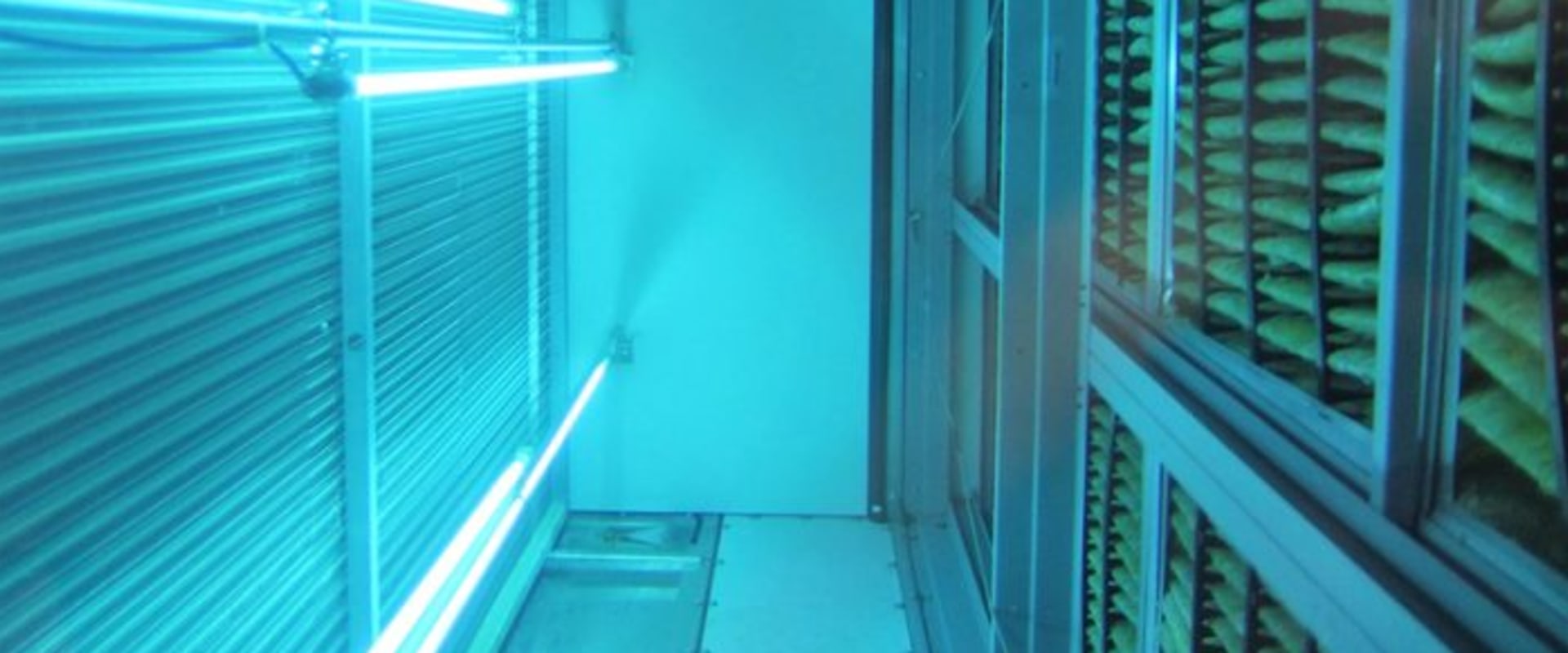The Truth About UV Lights and Electricity Consumption: An Expert's Perspective