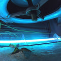 The Power of UV Lights in HVAC Systems: Separating Fact from Fiction